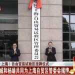 盛大入驻上海自由贸易区 要开中外合资银行