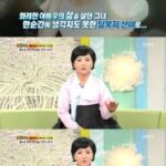 朝鲜国宝级特型女星逃亡韩国 为还债拍裸体写真