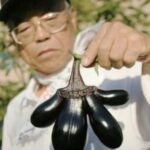 青椒带把 日本福岛核电站泄漏催生大量变异食物