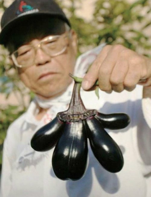 青椒带把 日本福岛核电站泄漏催生大量变异食物