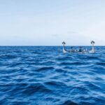 娛樂透視／《大海浮夢》記錄作家父子造舟　深廣視角呈現文化傳承之旅