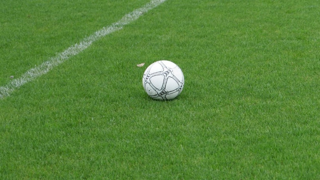 比卖票还狠!FIFA预售世界杯决赛场地草皮 每块450美元