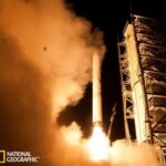 被美国火箭尾焰吹至高空 无辜倒霉青蛙网络走红