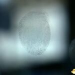 创新还是鸡肋？指纹识别或为iPhone用户带来新风险