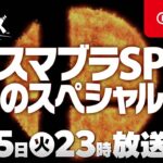 消息称《任天堂大乱斗特别版》最终斗士来自王国之心