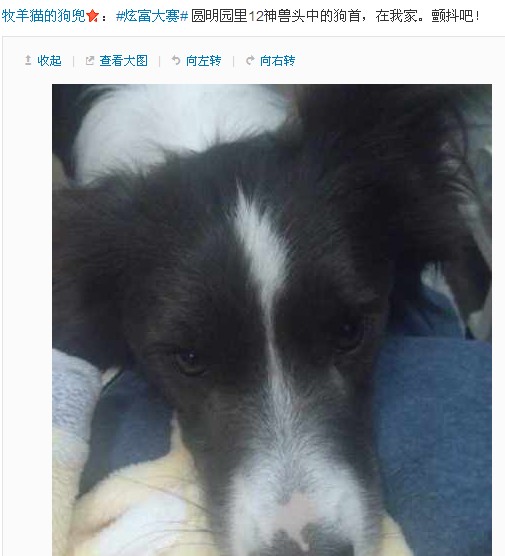 微博炫富大赛引爆网友恶搞 清凉油变身祖母绿？