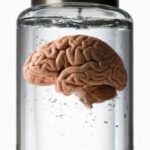 科学家称：未来人类将以大脑形式存在于外星球！